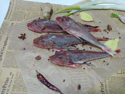 紅頭魚觀賞魚（紅頭魚是一種常見的食用魚品種紅頭魚的養(yǎng)殖技巧） 新加坡三巴旺 第3張