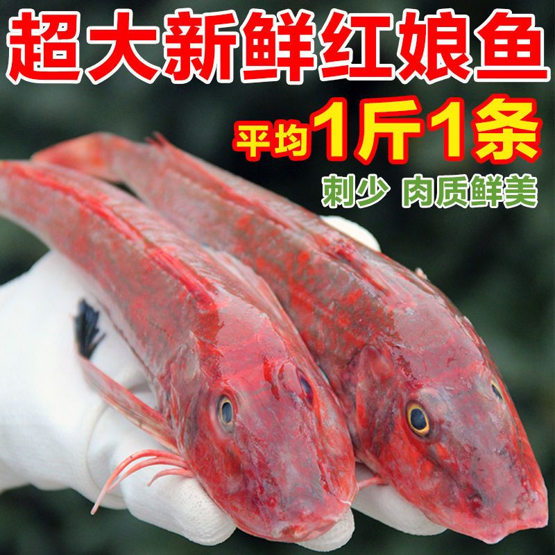 紅頭魚觀賞魚（紅頭魚是一種常見的食用魚品種紅頭魚的養(yǎng)殖技巧）