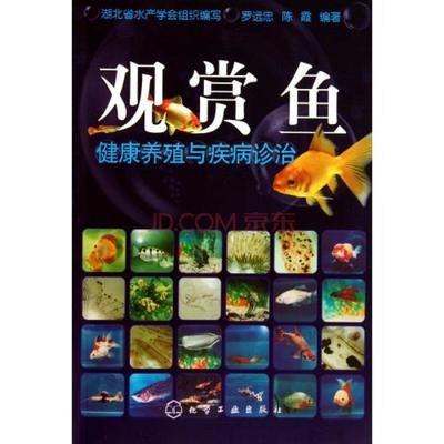 觀賞魚的養(yǎng)殖方法和注意事項(xiàng)（《觀賞魚飼養(yǎng)大全(第二版)》觀賞魚養(yǎng)殖方法）