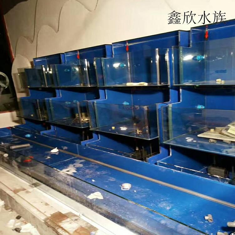 廣州水族批發(fā)市場有哪些地方賣海鮮的（廣州十大海鮮批發(fā)市場） 魚缸風水 第4張