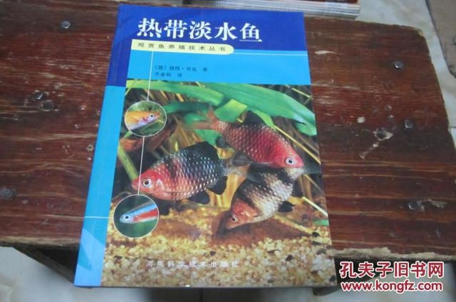 好養(yǎng)淡水魚觀賞魚（淡水觀賞魚的養(yǎng)殖與繁育） 武吉美拉金龍魚 第1張