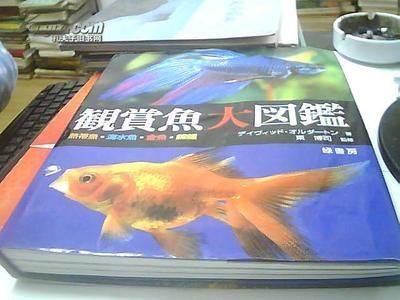 觀賞魚交易網(wǎng)站有哪些（全球觀賞魚文化探秘）