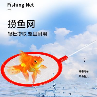 觀賞魚撈魚網(wǎng)（撈魚網(wǎng)是飼養(yǎng)觀賞魚必備的工具）