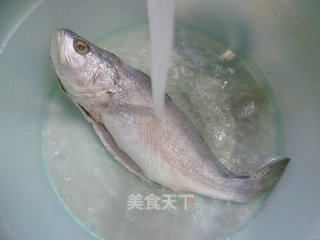 白果子魚的功效和作用（吃白果子魚對(duì)身體有哪些好處？）