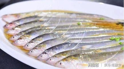 刀魚為什么貴（刀魚為什么那么貴）