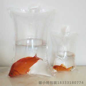 冬天觀賞魚如何發(fā)快遞（冬天發(fā)快遞觀賞魚需要注意保暖措施以確保觀賞魚運輸過程中存活） 愛龍仕 第3張