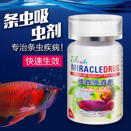 觀賞魚治病用藥有哪些（觀賞魚治病用藥的方法） 伊巴卡魚 第1張