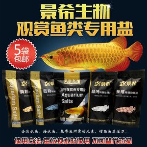 高檔觀賞魚專用鹽能海水（觀賞魚水質(zhì)管理全攻略了解如何通過科學(xué)的方法來維護觀賞魚的水質(zhì)） 雙線側(cè)魚 第4張