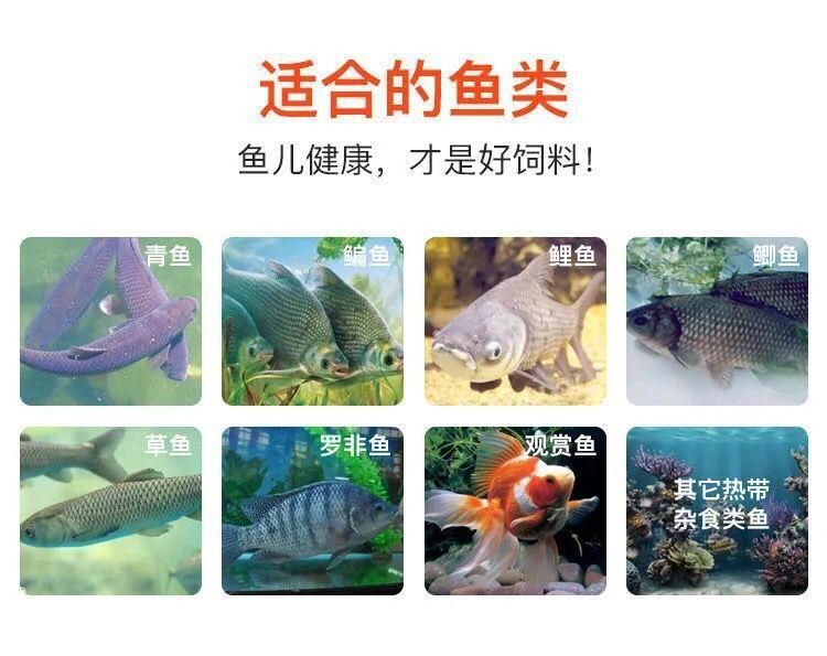 觀賞魚類養(yǎng)殖課件（c海水觀賞魚的養(yǎng)護(hù)秘籍）