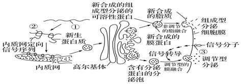 ada硝化細(xì)菌（360doc個(gè)人圖書館硝化細(xì)菌的四大特點(diǎn)） 眼斑魚 第2張