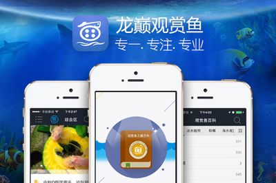 觀賞魚app（中國十大觀賞魚app推薦）