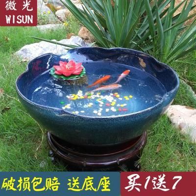 大金魚缸養(yǎng)什么蓮花好（在大金魚缸中養(yǎng)蓮花需要注意以下幾個問題） 黑白雙星 第1張