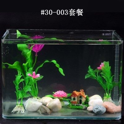 草金魚缸布景圖（草金魚缸造景技巧） 泰龐海蓮魚 第1張