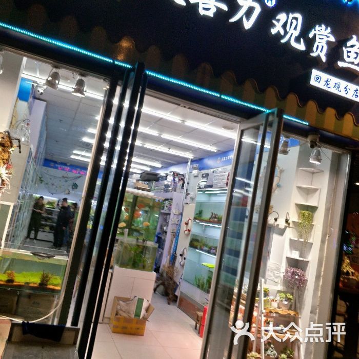 觀賞魚(yú)店加盟費(fèi)多少錢(qián)一個(gè)月（加盟觀賞魚(yú)店需要多少錢(qián)） 鐵甲武士 第2張