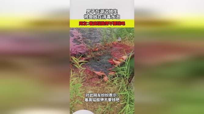 觀賞魚突眼病用高錳酸鉀行嗎（使用高錳酸鉀治療觀賞魚突眼病時） 貓貓 第4張