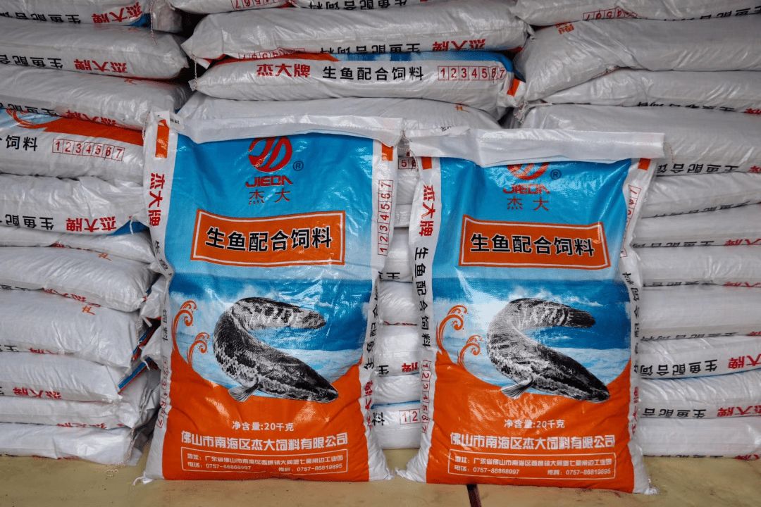 高龍魚飼料（根據(jù)搜索結(jié)果推薦的高龍魚飼料品牌及其特點(diǎn)）