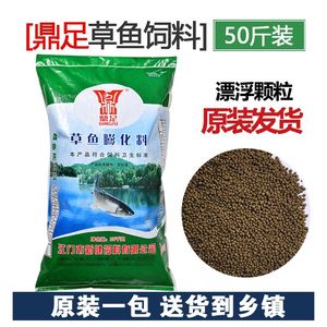 高龍魚飼料（根據(jù)搜索結(jié)果推薦的高龍魚飼料品牌及其特點(diǎn)）