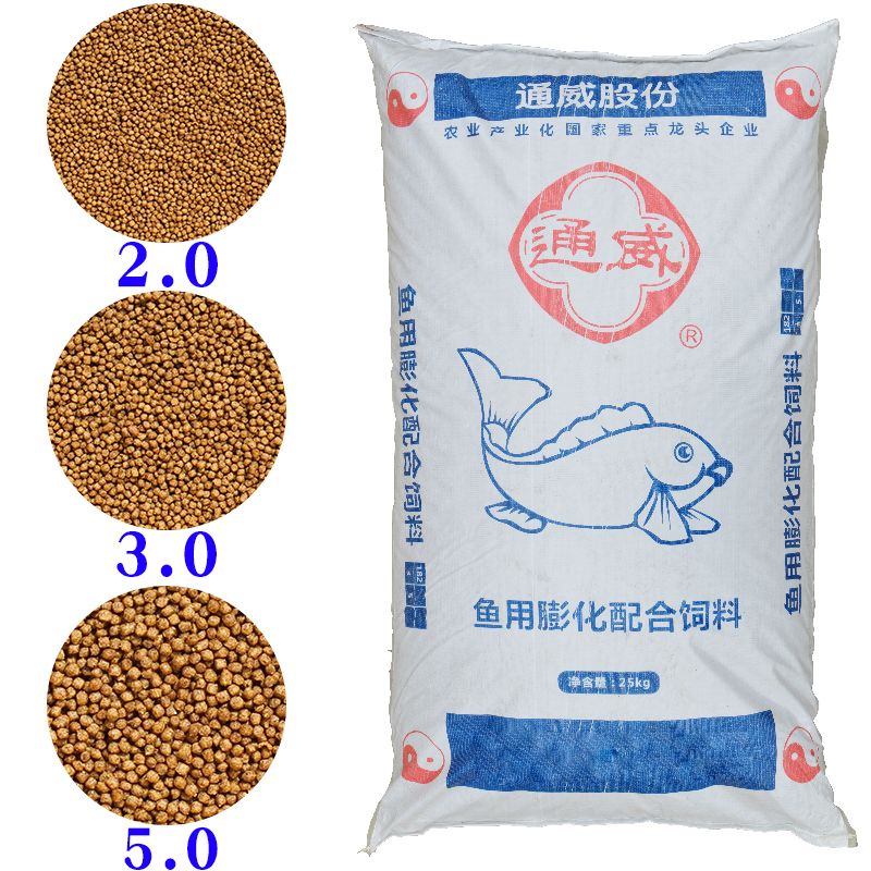 高龍魚飼料（根據(jù)搜索結(jié)果推薦的高龍魚飼料品牌及其特點(diǎn)）