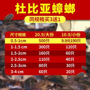 18厘米的龍魚要吃多少飼料（18厘米的龍魚一天喂多少比較合適？） 祥龍水族濾材/器材 第1張