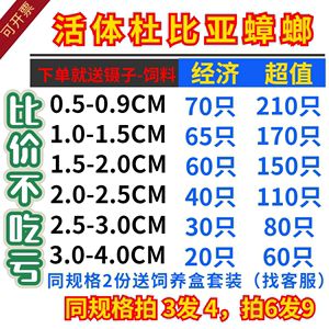 18厘米的龍魚要吃多少飼料（18厘米的龍魚一天喂多少比較合適？） 祥龍水族濾材/器材 第2張