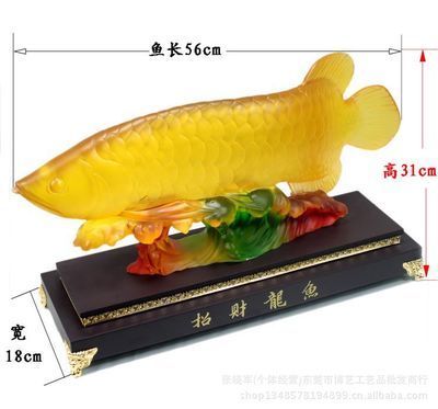 1.8金龍魚多少錢（1.8升金龍魚價格）