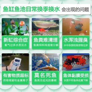 海豚硝化細(xì)菌有臭味（硝化細(xì)菌產(chǎn)品散發(fā)出臭味可能是由于以下幾個(gè)原因?qū)е碌模? title=