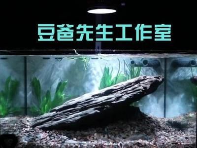 廣州水鴉魚缸（廣州水鴉魚缸公司）