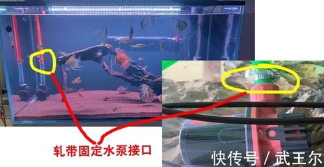 1.5米龍魚缸用多大水泵（魚缸1.5米揚程需要多大瓦數的潛水泵360問答） 祥龍水族濾材/器材 第1張