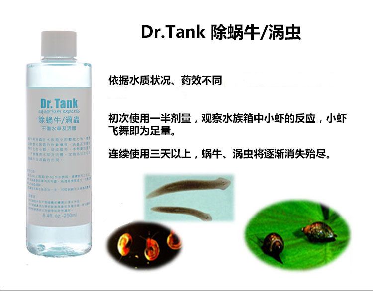 dr.tank硝化菌效果怎么樣（dr.tank水草營養(yǎng)液肥除藻酵素水質(zhì)穩(wěn)定劑硝化菌） 白子銀龍苗（黃化銀龍苗） 第4張