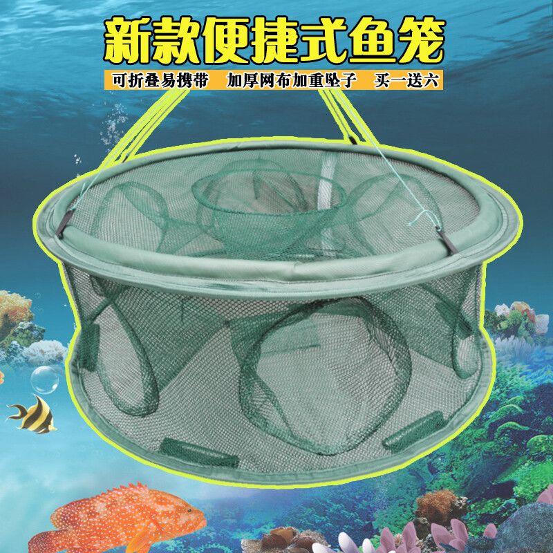 互動的觀賞魚有哪些品種的蝦（觀賞蝦混養(yǎng)時需要注意的品種是根據(jù)搜索結(jié)果整理的信息）