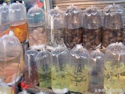 海水觀賞魚批發(fā)市場價(jià)格（海水觀賞魚批發(fā)市場價(jià)格受多種因素影響海水觀賞魚市場價(jià)格） 彩鰈魚缸（彩蝶魚缸） 第1張