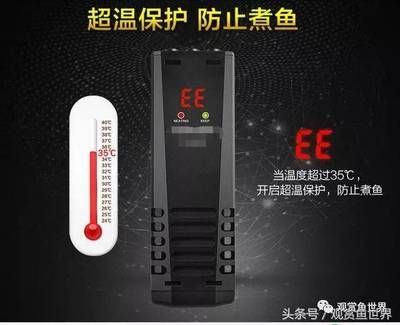 yee加熱棒顯示ee（yee加熱棒顯示ee是什么意思） 綠皮皇冠豹魚 第4張