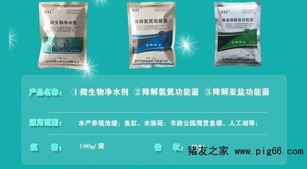 觀賞魚通用鹽怎么用（觀賞魚專用鹽使用方法） 魚缸定做 第4張