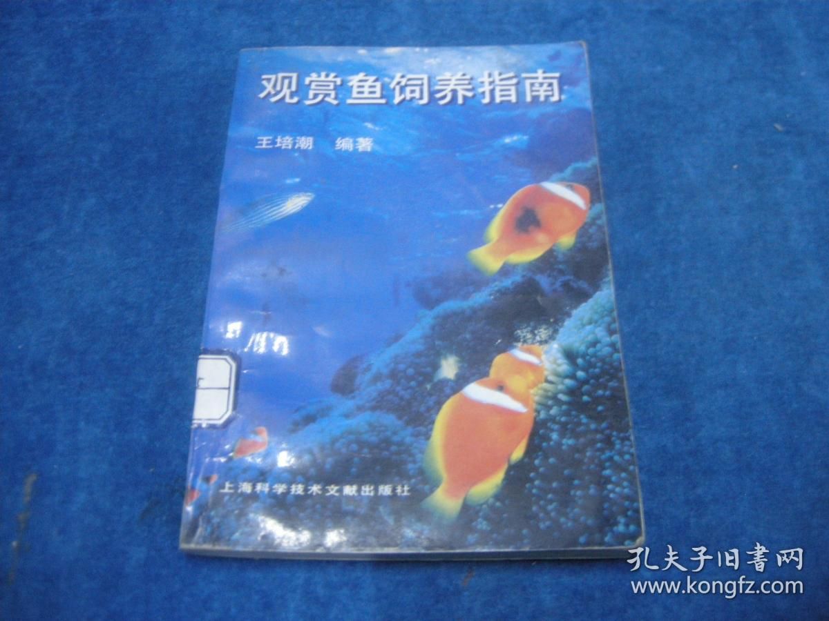 觀賞魚正確的養(yǎng)法視頻（觀賞魚的色彩科學你知道嗎觀賞魚的色彩科學你知道嗎） 一方水族 第3張