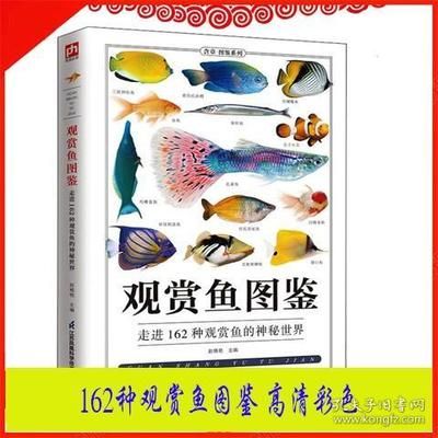 觀賞魚的分類鑒別和鑒賞技術(shù)（水族箱養(yǎng)護與管理指南） 全國觀賞魚市場 第2張