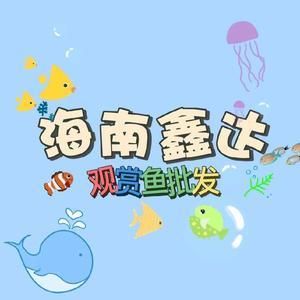 海南觀賞魚漁場(chǎng)排名前十名（海南觀賞魚養(yǎng)殖技術(shù)揭秘） 泰龐海鰱魚 第1張