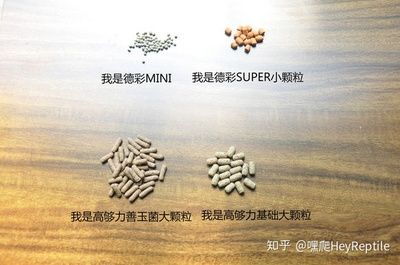 德彩龜糧有什么好（德彩龜糧有哪些優(yōu)點(diǎn)） 眼斑魚 第2張