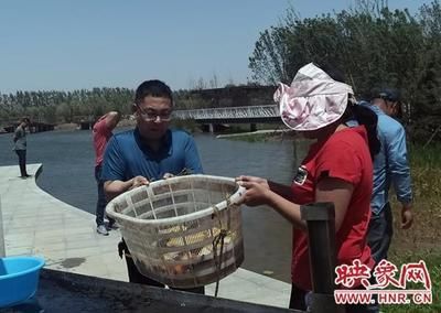 廣州觀賞魚魚商會會長名單公布（如何看待廣州觀賞魚產(chǎn)業(yè)的發(fā)展？）