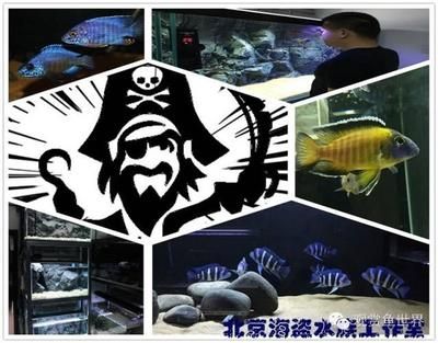 好玩的觀賞魚有哪些品種（觀賞魚的種類及種類介紹） 魚缸水質(zhì)穩(wěn)定劑 第3張