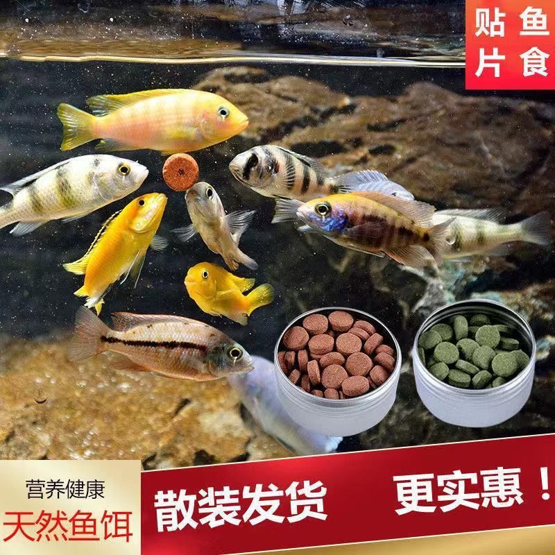 觀賞魚(yú)的魚(yú)食制作方法（幾種常見(jiàn)的觀賞魚(yú)魚(yú)食制作方法）