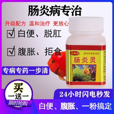 觀賞魚腸炎吃什么藥（觀賞魚腸炎怎么治療） 玫瑰銀版魚 第3張