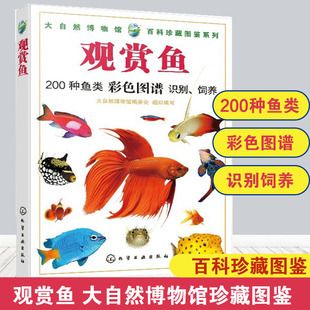 觀賞魚海水淡水哪個(gè)好養(yǎng)（淡水觀賞魚比海水觀賞魚比海水觀賞魚更容易飼養(yǎng)的品種） 泰龐海蓮魚 第4張