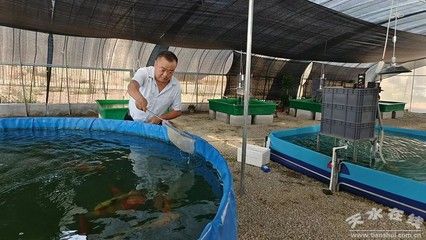 吉安龍魚苗批發(fā)在哪里啊最近（吉安龍魚苗批發(fā)市場的具體位置在哪里？）