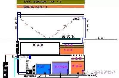 過濾器材擺放順序（過濾器材的擺放順序）