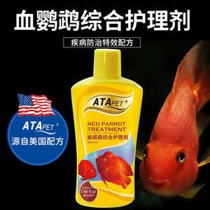 觀賞魚蒙眼怎樣治療用什么藥（如何治療觀賞魚的蒙眼?。?觀賞魚水族批發(fā)市場 第1張