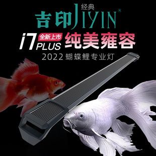 蝴蝶鯉魚缸用什么燈最好（如何選擇適合蝴蝶鯉的魚缸燈）