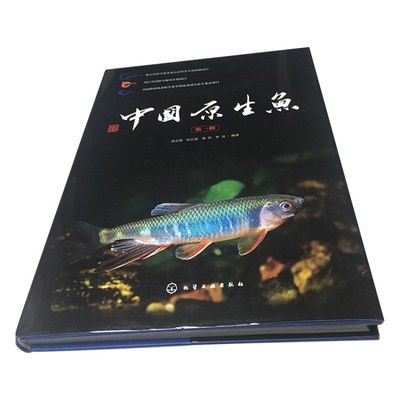 觀賞魚圖鑒哪本書最好（《觀賞魚圖鑒》）