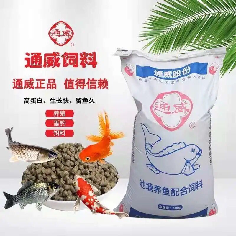 觀賞魚(yú)飼料廠家直銷（如何尋找觀賞魚(yú)飼料廠家直銷） 馬拉莫寶石魚(yú) 第4張