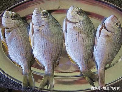 觀賞魚淡水魚和海水魚有什么區(qū)別（淡水魚與淡水魚的區(qū)別）