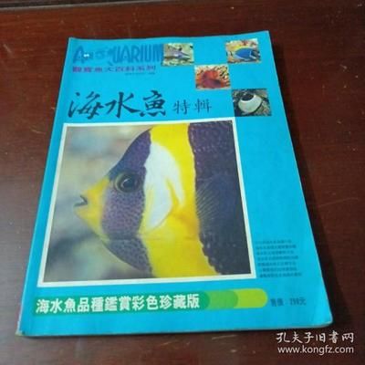 觀賞魚的分類鑒別和鑒賞方法（熱帶淡水觀賞魚分類鑒別和鑒別和鑒別方法） 黑水素 第3張